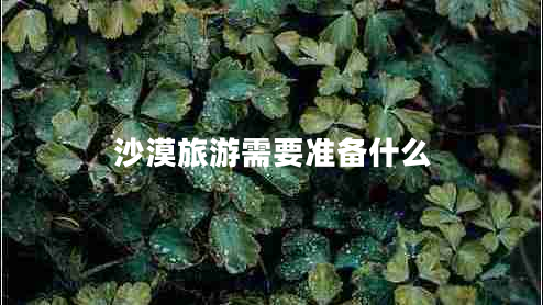 沙漠旅游需要準(zhǔn)備什么