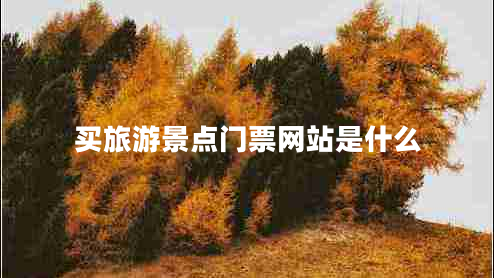 買旅游景點門票網(wǎng)站是什么