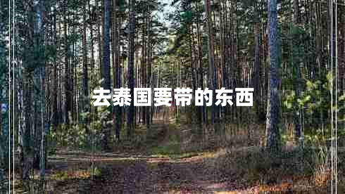 去泰國(guó)要帶的東西