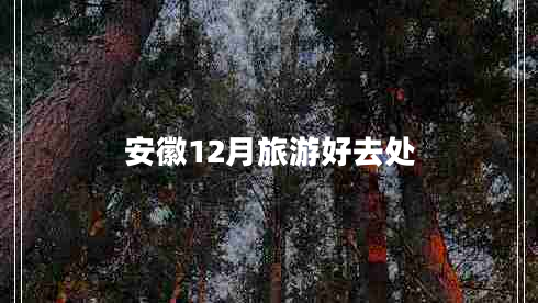 安徽12月旅游好去處
