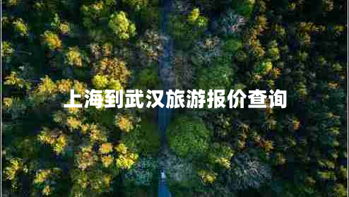 上海到武漢旅游報價查詢
