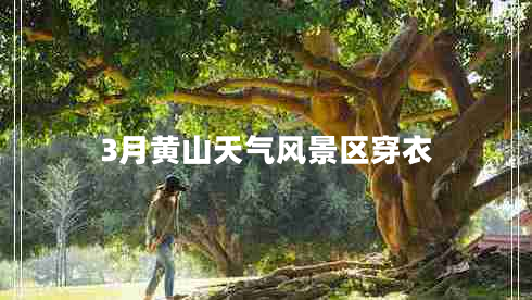 3月黃山天氣風(fēng)景區(qū)穿衣