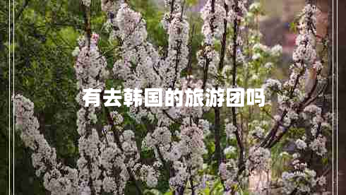 有去韓國的旅游團(tuán)嗎