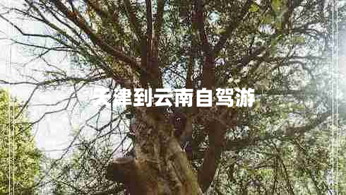 天津到云南自駕游