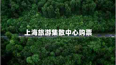 上海旅游集散中心購票