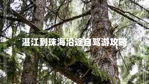 湛江到珠海沿途自駕游攻略 湛江到珠海沿途自駕游攻略