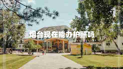 煙臺現(xiàn)在能辦護(hù)照嗎