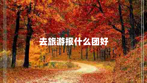去旅游報(bào)什么團(tuán)好