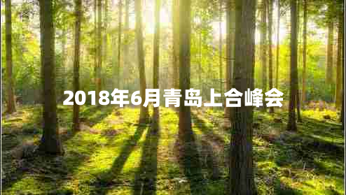 2018年6月青島上合峰會