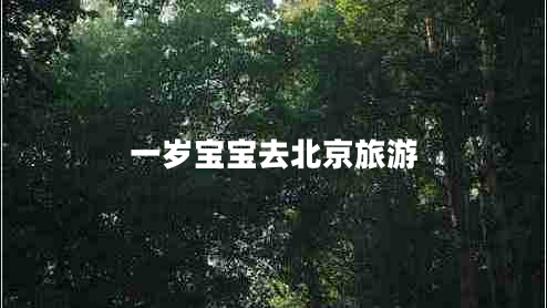 一歲寶寶去北京旅游 一歲寶寶去北京旅游