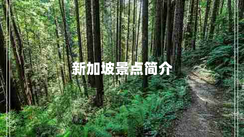 新加坡景點(diǎn)簡(jiǎn)介