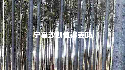 寧夏沙湖值得去嗎 寧夏沙湖值得去嗎