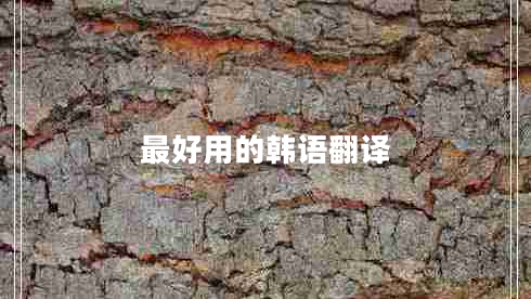 最好用的韓語翻譯 最好用的韓語翻譯