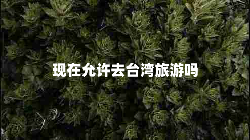 現(xiàn)在允許去臺灣旅游嗎