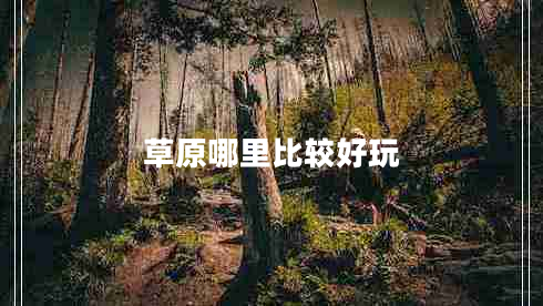 草原哪里比較好玩