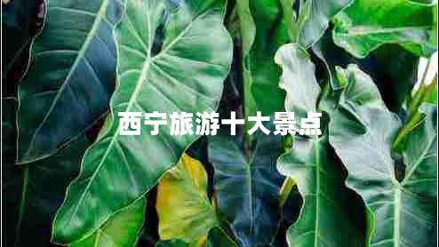 西寧旅游十大景點