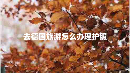 去德國旅游怎么辦理護(hù)照