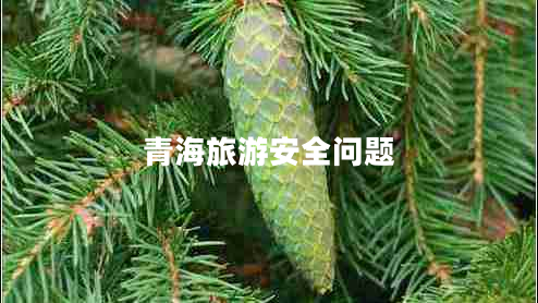 青海旅游安全問題 青海旅游安全問題