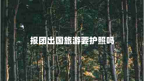 報團出國旅游要護照嗎