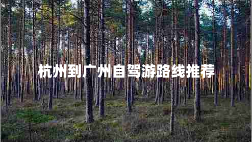 杭州到廣州自駕游路線推薦