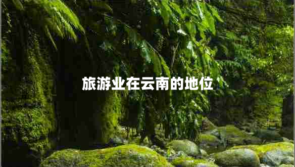 旅游業(yè)在云南的地位