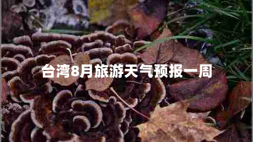 臺(tái)灣8月旅游天氣預(yù)報(bào)一周