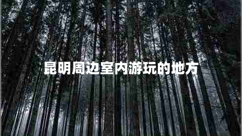 昆明周邊室內(nèi)游玩的地方