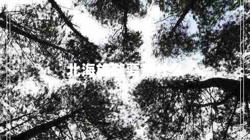 北海旅游要帶什么