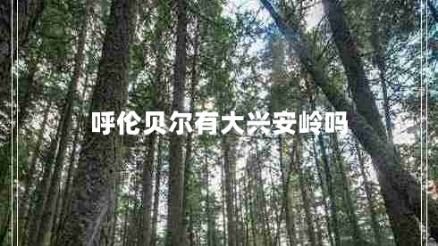 呼倫貝爾有大興安嶺嗎