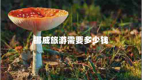 挪威旅游需要多少錢