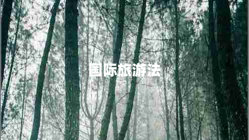 國際旅游法