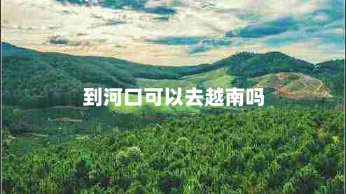 到河口可以去越南嗎