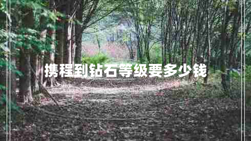 攜程到鉆石等級(jí)要多少錢