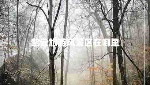 紫云旅游風(fēng)景區(qū)在哪里