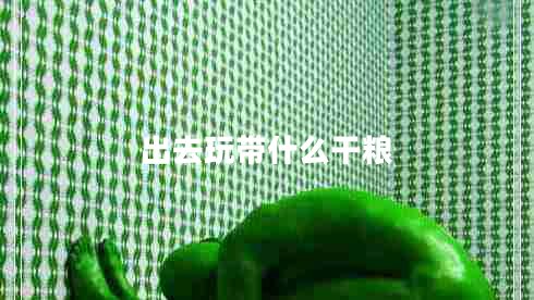 出去玩帶什么干糧