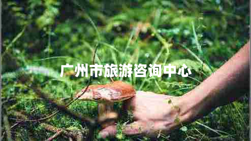 廣州市旅游咨詢中心