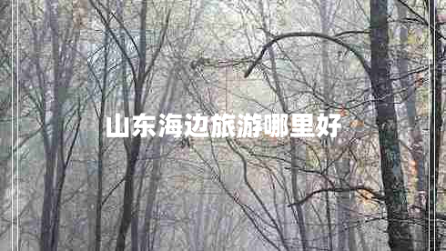 山東海邊旅游哪里好