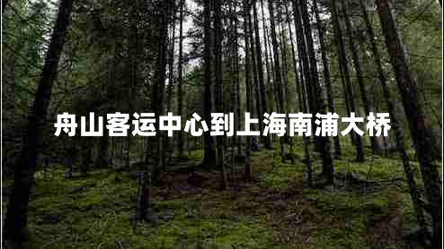 舟山客運(yùn)中心到上海南浦大橋