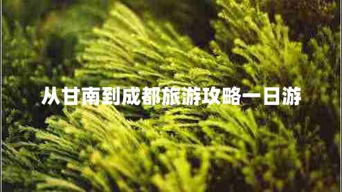 從甘南到成都旅游攻略一日游