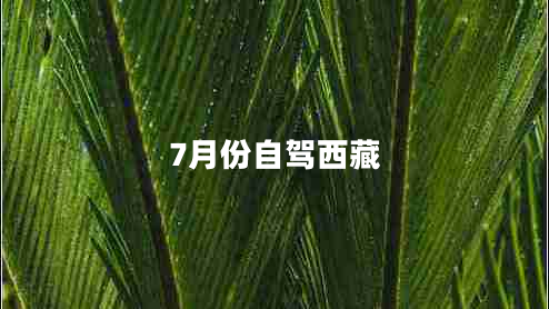 7月份自駕西藏
