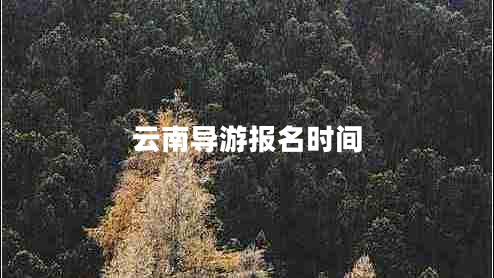 云南導(dǎo)游報(bào)名時(shí)間