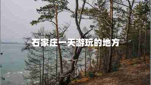 石家莊一天游玩的地方