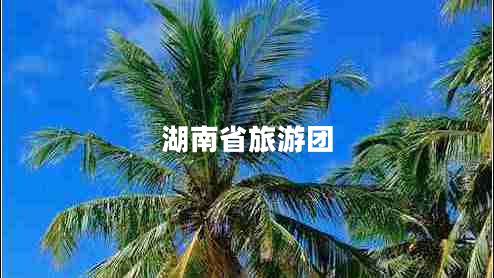 湖南省旅游團(tuán) 湖南省旅游團(tuán)