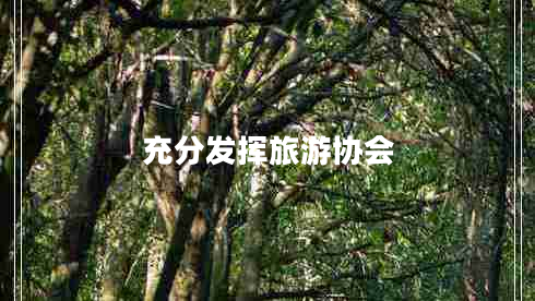 充分發(fā)揮旅游協(xié)會 充分發(fā)揮旅游協(xié)會