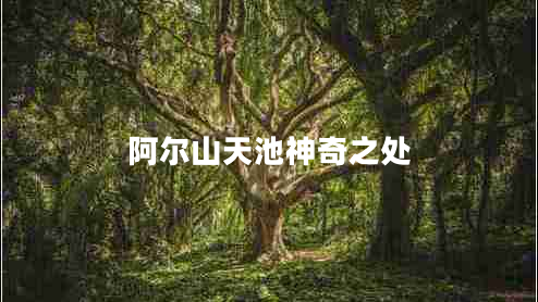 阿爾山天池神奇之處