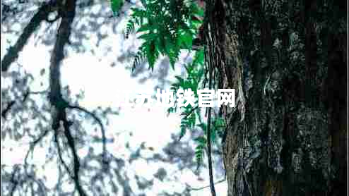 江蘇地鐵官網(wǎng)