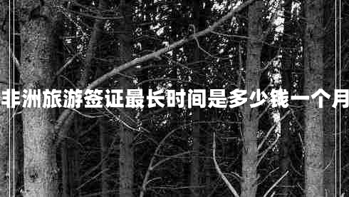 非洲旅游簽證最長時間是多少錢一個月