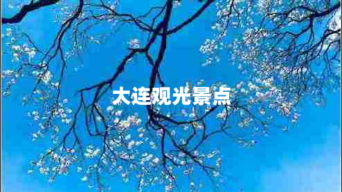 大連觀光景點 大連觀光景點