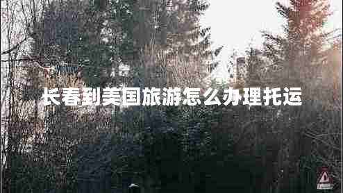 長春到美國旅游怎么辦理托運