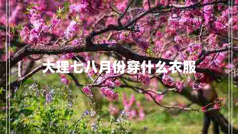 大理七八月份穿什么衣服 大理七八月份穿什么衣服